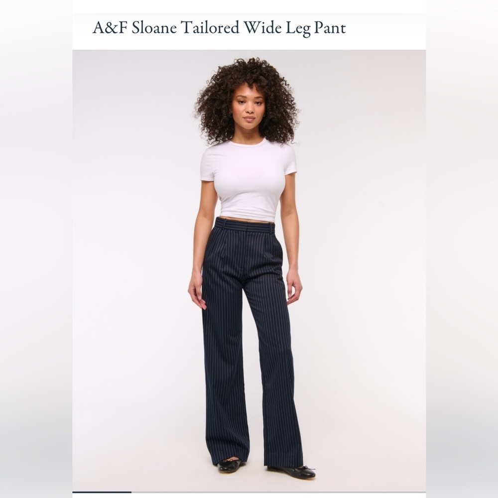 Abercrombie & Fitch XS Navy Stripe Sloane Tailored Wide Leg Pants